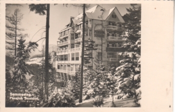 Semmering (Niederösterreich) - A 1940 95 005 ●